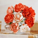 Prima Summer 2012 -  Serenade - Orange