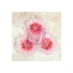 Prima Marketing Inc - Lyric Collection - Fabric Flowers 3" 3/Pkg