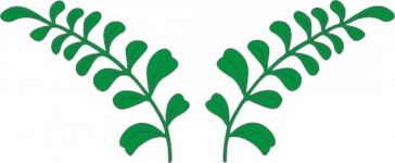 Cheery Lynn Designs Die - Pair of Ferns (Set of 2)