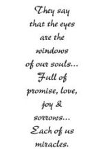 Prickley Pear - Windows