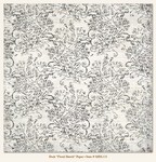 My Minds Eye - Meadowlark - Dusk - "Floral Sketch" Paper