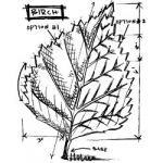Stampers Ananymous - Wood Mounted Rubber Stamp - Birch Sketch 4"X3.5"