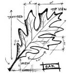 Stampers Ananymous - Wood Mounted Rubber Stamp - Oak Sketch 4"X3.5"