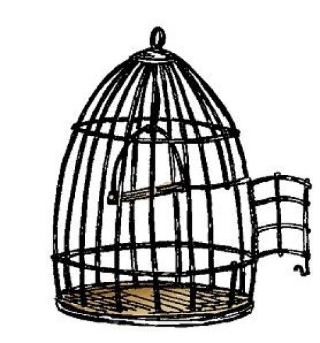 Art Impressions - Un Mounted - Fronts-N-Backs - Birdcage