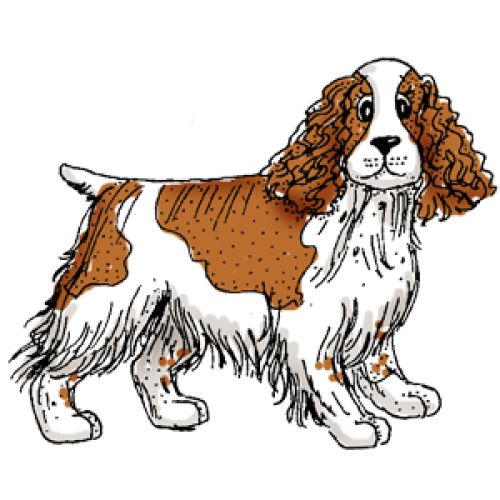 Art Impressions - Un Mounted - AI Dogs - Springer Spaniel