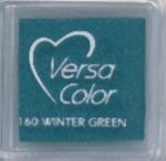 VersaColor Cube - 160 Winter Green