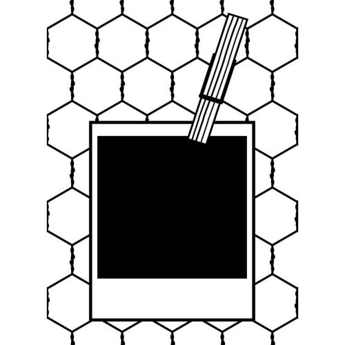 Darice - Embossing Essentials - Embossing Folder - Polaroid Wire
