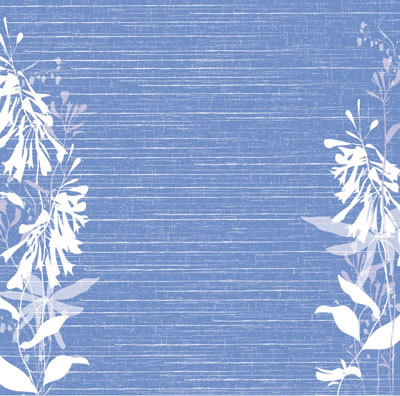 DAISY BUCKET DESIGNS - NANTUCKET - HARBOR VIEW PAPER