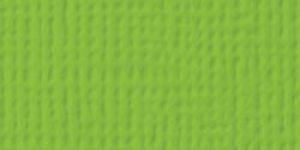 American Crafts - Cardstock - Linen Weave - Cricket