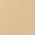 American Crafts - Cardstock - Linen Weave - 12 X 12 - Latte