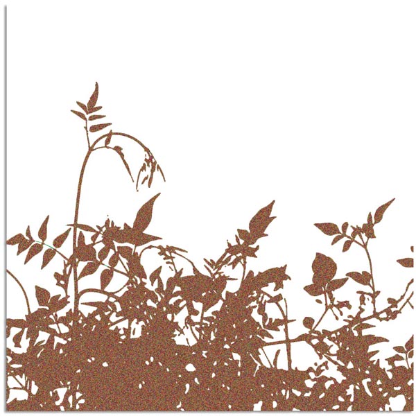 PRIMA MARKETING INC - TRANSPARENCY GRASSLAND