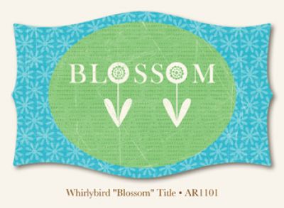 My Minds Eye - Abbey Road - Blossom - Title