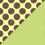 Jillibean Soup - Spotted Owl Soup - 5 Totally Fun Tunes